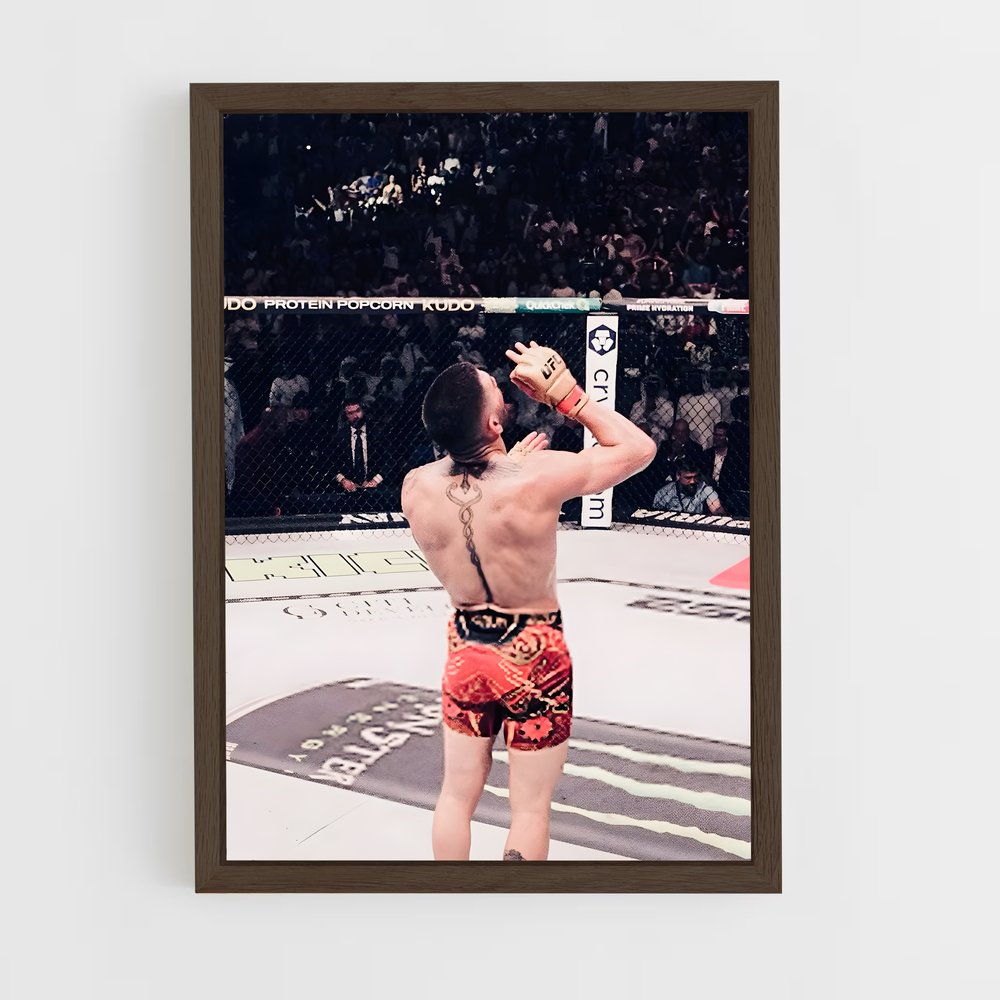 Poster Ilia de topuria – affiche MMA (vue 5)
